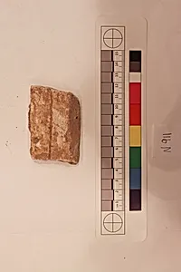 Stucco Fragment by Unknown Artist