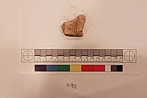 Stucco Fragment