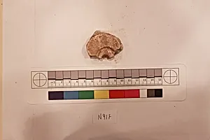 Stucco Fragment