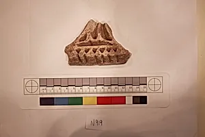 Stucco Fragment by Unknown Artist