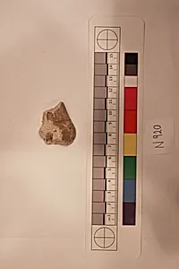 Stucco Fragment