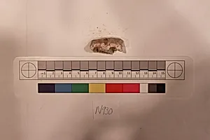 Stucco Fragment by Unknown Artist