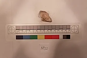 Stucco Fragment