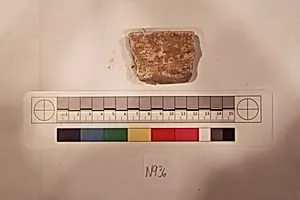 Stucco Fragment