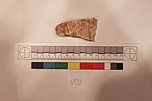 Stucco Fragment