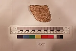 Stucco Fragment