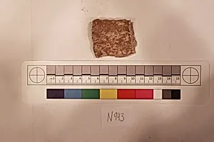 Stucco Fragment