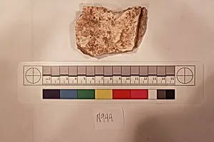 Stucco Fragment