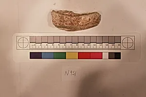 Stucco Fragment