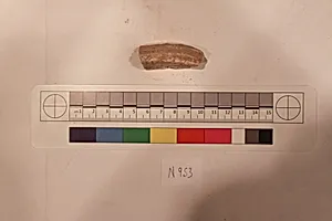 Stucco Fragment