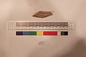 Stucco Fragment