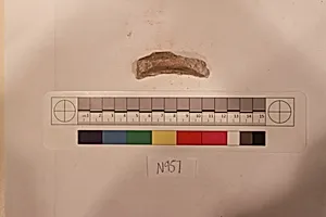 Stucco Fragment