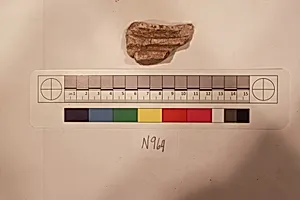 Stucco Fragment