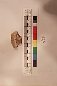 Stucco Fragment
