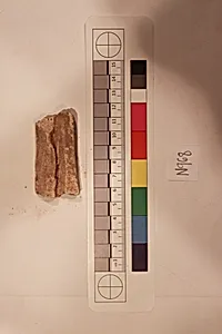 Stucco Fragment