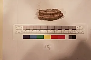 Stucco Fragment