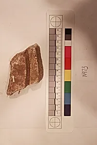 Stucco Fragment