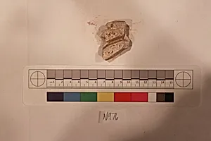 Stucco Fragment