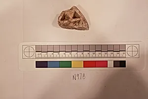 Stucco Fragment