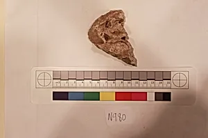Stucco Fragment