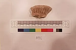 Stucco Fragment