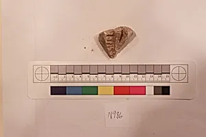 Stucco Fragment