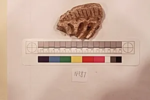 Stucco Fragment