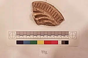Stucco Fragment