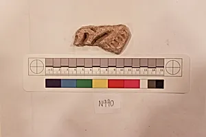 Stucco Fragment