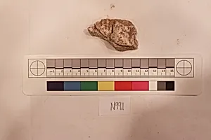 Stucco Fragment