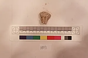 Stucco Fragment