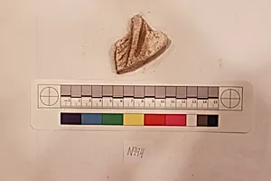 Stucco Fragment