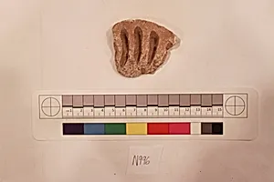 Stucco Fragment