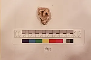 Stucco Fragment