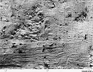 Textile Fragment
