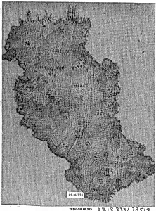 Textile Fragment by Unknown Artist