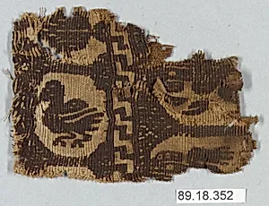 Textile Fragment