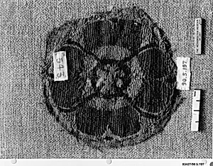 Textile Fragment