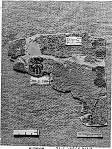Textile Fragment