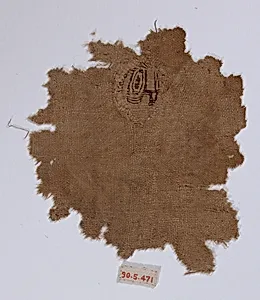 Textile Fragment