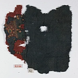 Textile Fragment