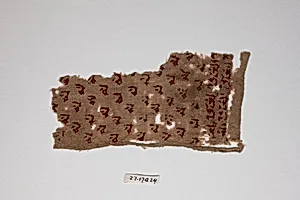 Textile Fragment