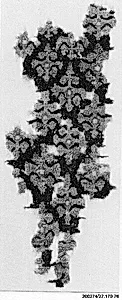 Textile Fragment
