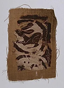 Textile Fragment