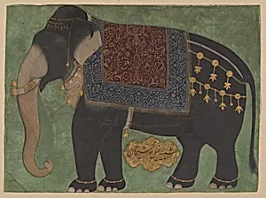 The Elephant Khushi Khan