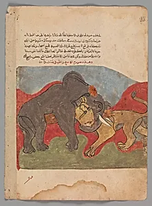 "The Lion and the Elephant Fighting", Folio from a Kalila wa Dimna