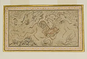 Two Camels Fighting