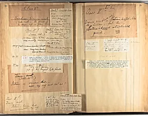 A collection of lace classification, [ca. 1906]