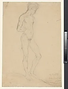 Male Nude Model