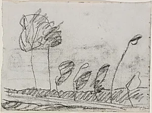 Seven Trees